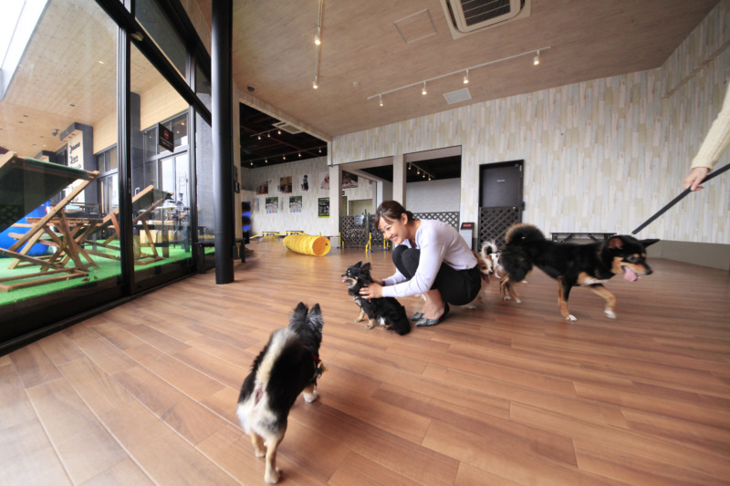 「愛犬の駅 伊豆高原」の屋内ドッグラン