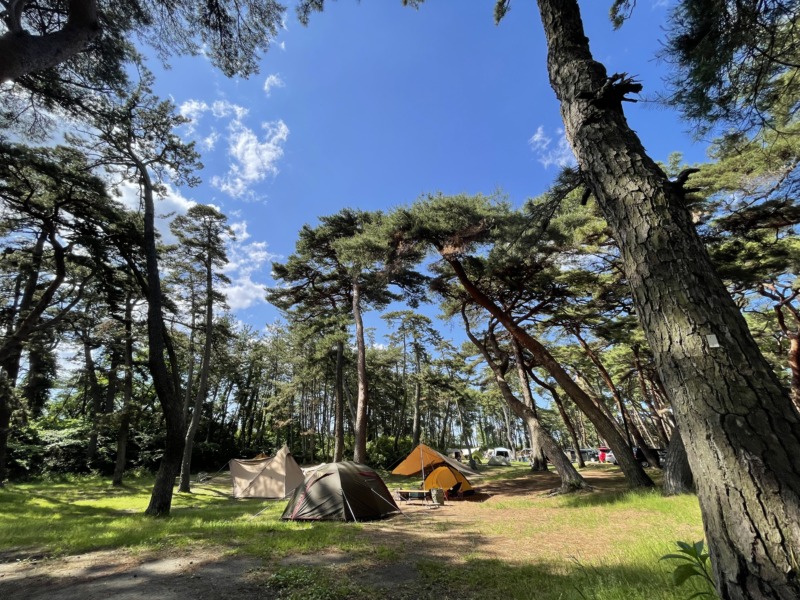 木々に囲まれた大洗キャンプ場