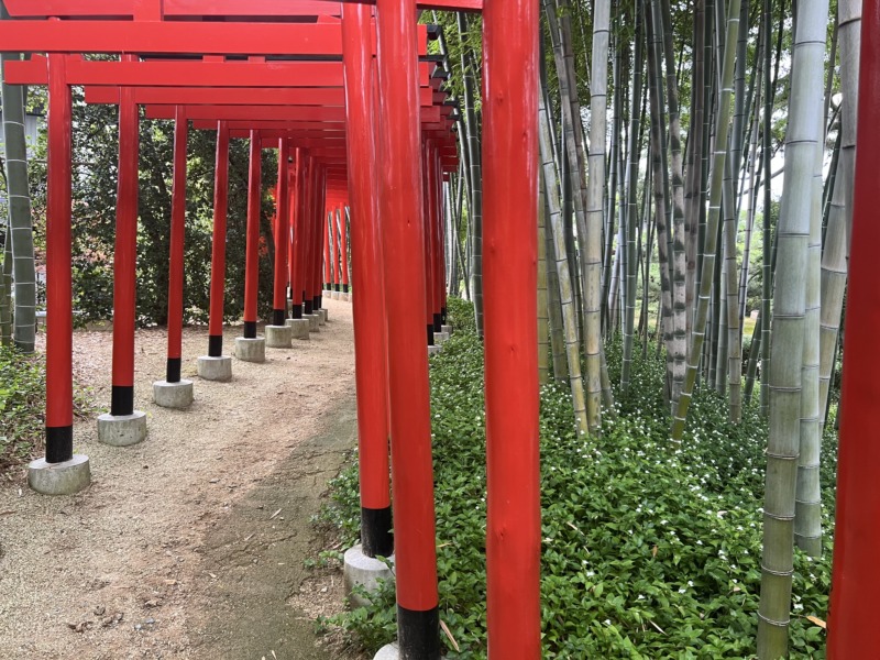 中津万象園の鳥居回廊と竹林