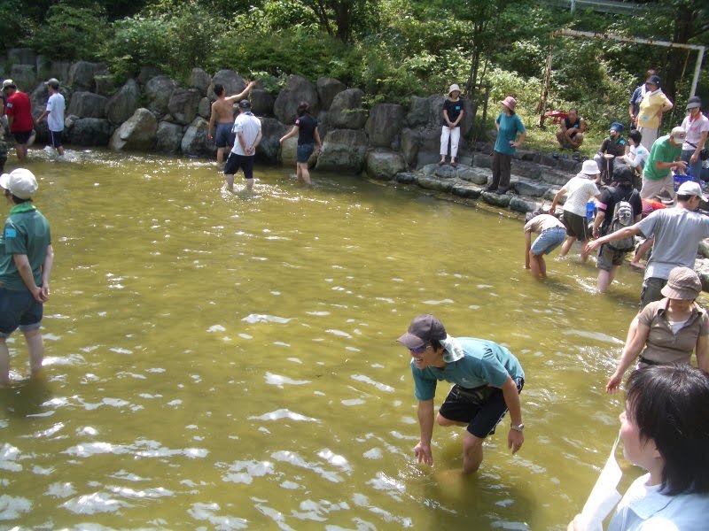 別所アウトドアスポーツセンターでアマゴのつかみ取りを楽しむ人々