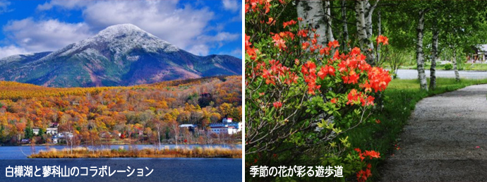 白樺湖周辺の風景