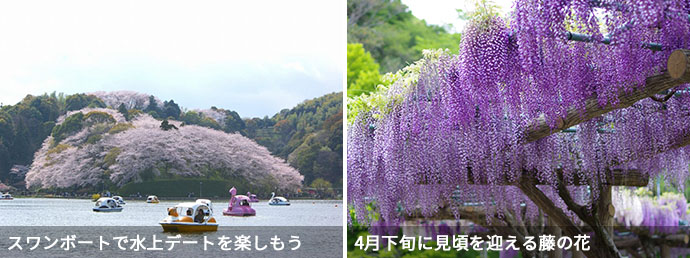 蓮華寺池公園の春の風景