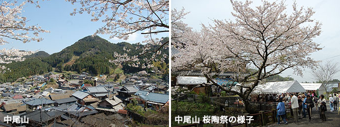 中尾山（左）、中尾山 桜陶祭の様子（右）