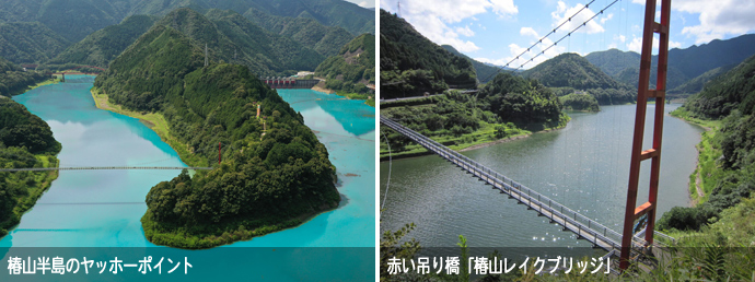 ヤッホーポイント・椿山レイクブリッジ