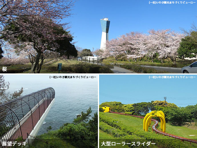 三崎公園で見られる桜、潮見台の展望デッキ、大型ローラースライダー