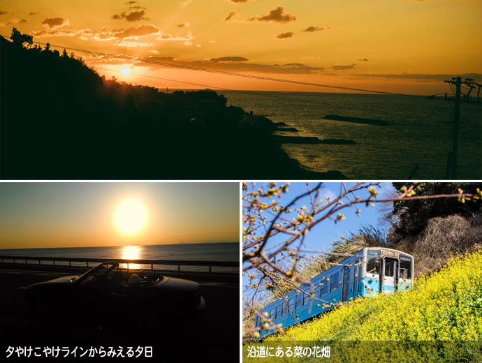 「夕やけこやけライン」の景観
  