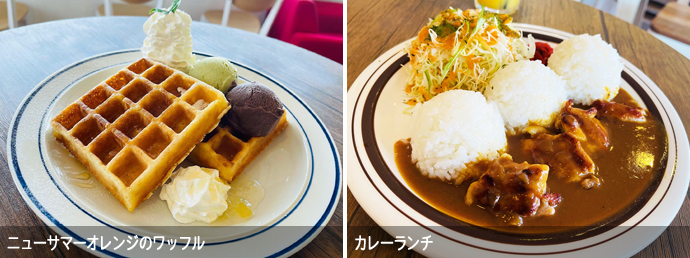 Hana cafeのデザートとカレー