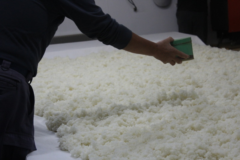 城陽酒造の酒造りで米を使った作業をしている写真