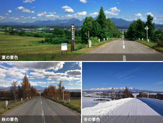 パノラマロード江花の夏・秋・冬の景色