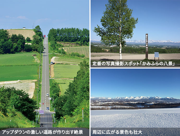 ジェットコースターの路、かみふらの八景の看板、周辺の雪景色