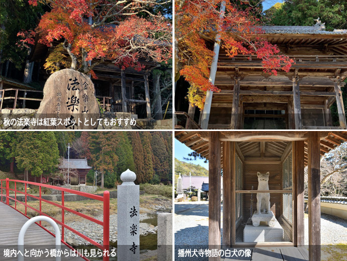 法楽寺の境内と白犬の像