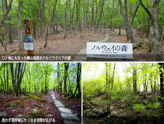 兵庫県神河町のドライブスポット峰山高原ホテルリラクシアの森