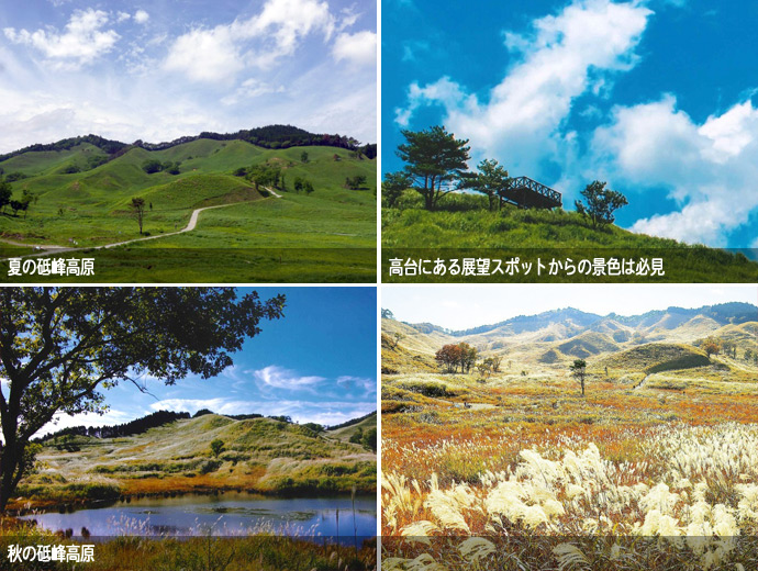 砥峰高原の夏の景色と秋の景色