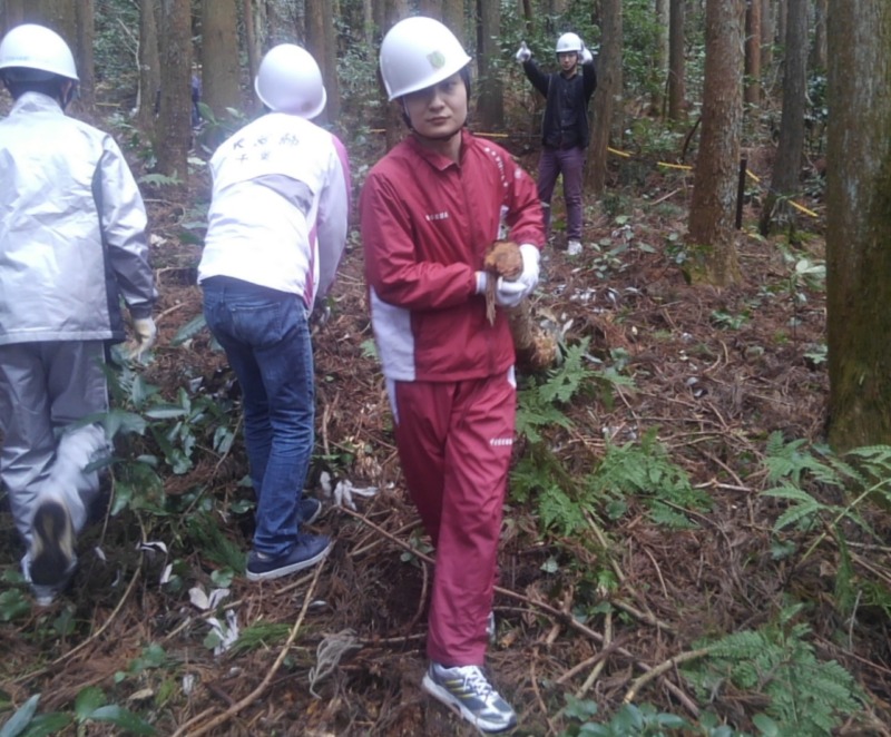 鹿野山自然学校が提供する自然体験で、森の中で活動をする人々