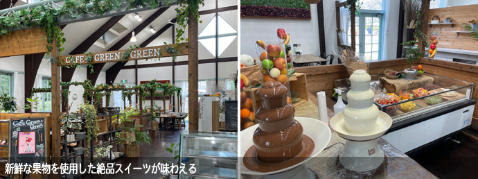 Cafe Green×Greenの入り口や店内のようす