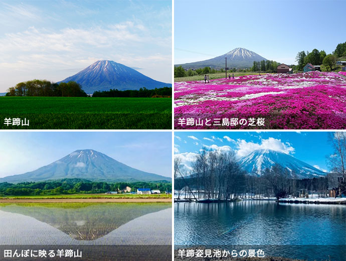 羊蹄山・羊蹄山と三島邸の芝桜・田んぼに映る羊蹄山・羊蹄姿見池からの景色