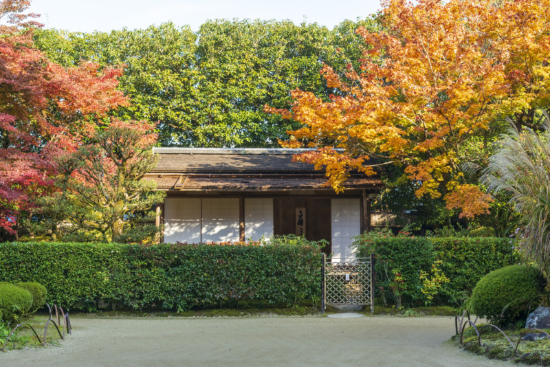 紅葉した庭園と詩仙堂