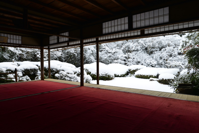 雪化粧した庭園