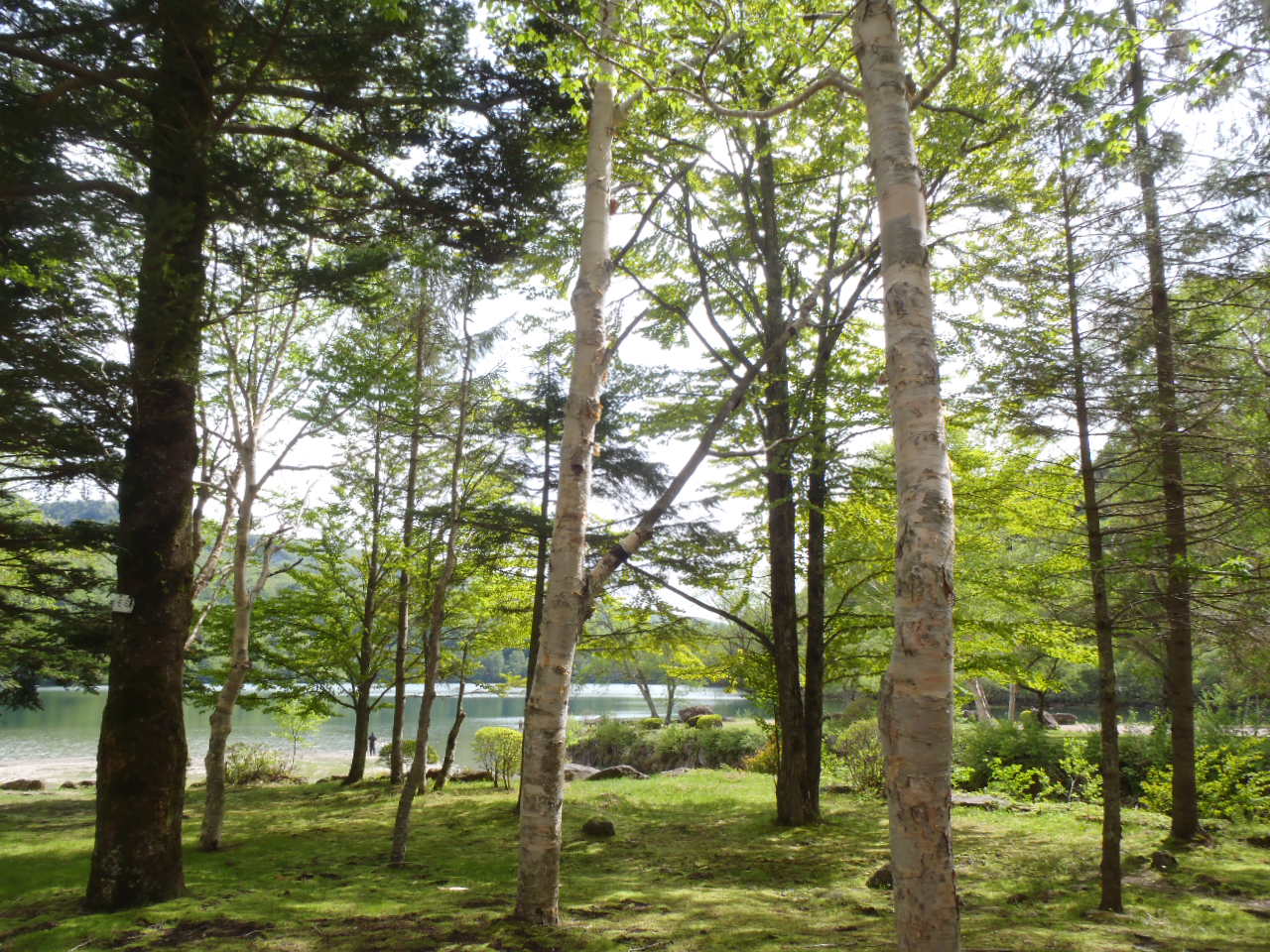 丸沼温泉環湖荘の周辺の様子