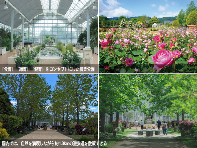 松阪農業公園ベルファームの様子