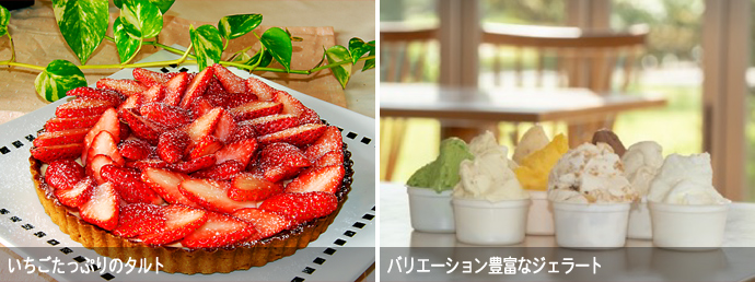 いちごのタルトとジェラート