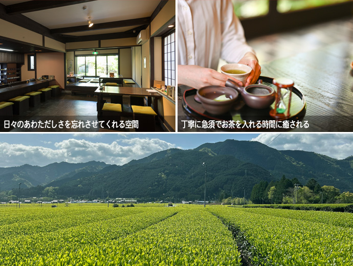 深緑茶房の内装・お茶と店内の様子・茶農家