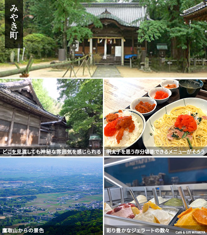 佐賀県みやき町ドライブスポットの見どころ
  