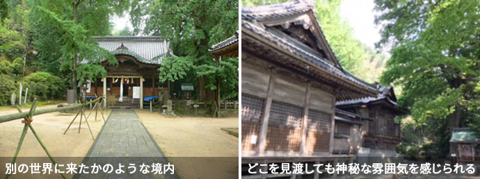 綾部八幡神社の境内
  