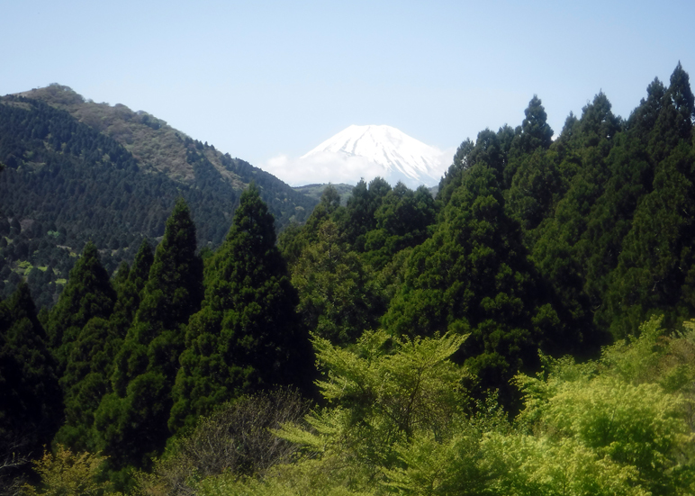 箱根町立森のふれあい館の多目的ルームから見える富士山