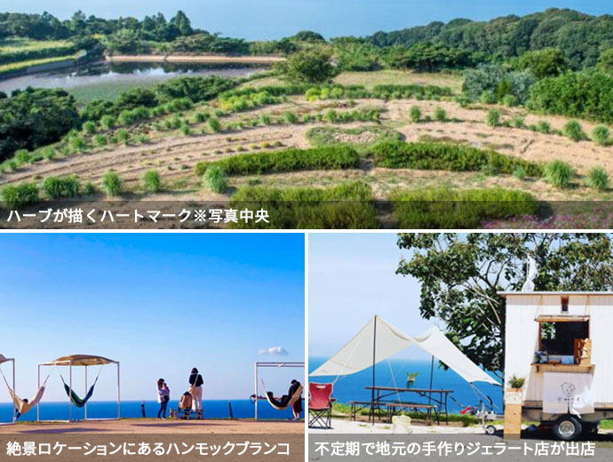 棚田の花段の風景