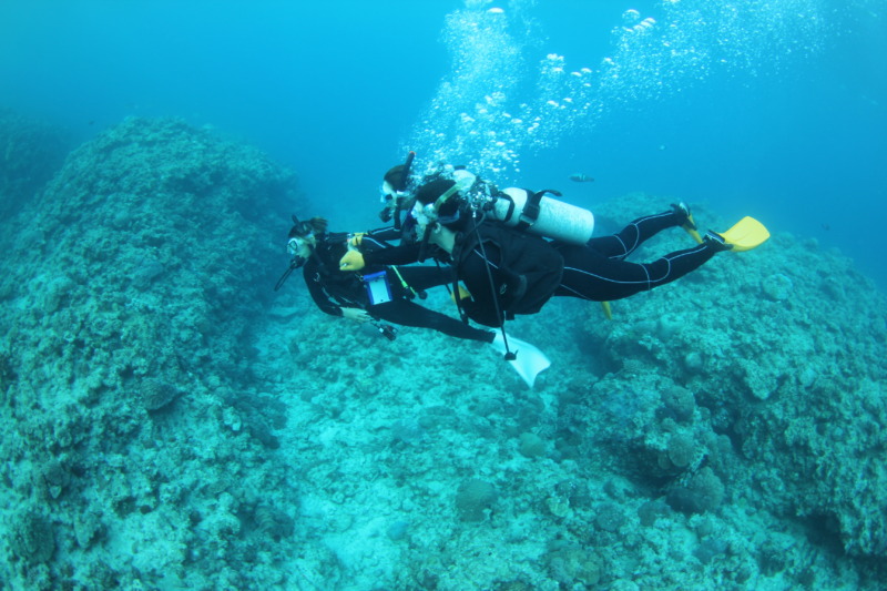 沖縄県恩納村にある「マリンクラブ ナギ」のダイビング体験
