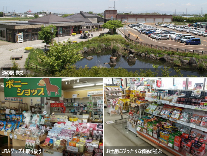 道の駅 豊栄の外観・ポニーショップ・売店