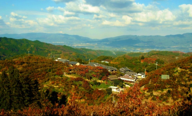 旬の野菜レストラン農悠舎王隠堂と絶景の写真