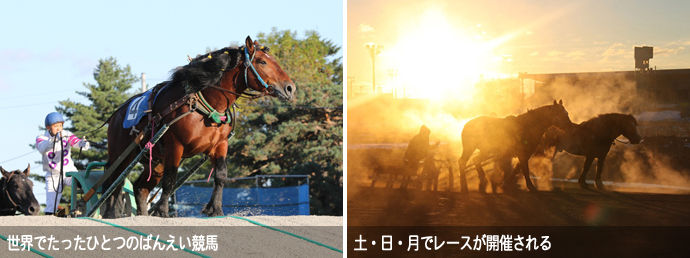 帯広競馬場で開催されるばんえい競馬の様子