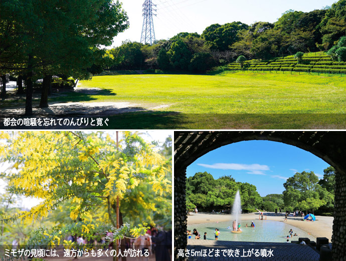 大府みどり公園の風景