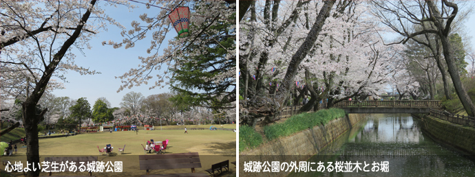 城跡公園の全景と外周のようす