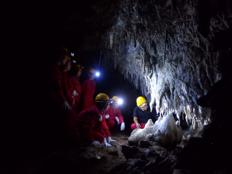 おきなわワールドの玉泉洞で開催される「南の島の洞くつ探検」