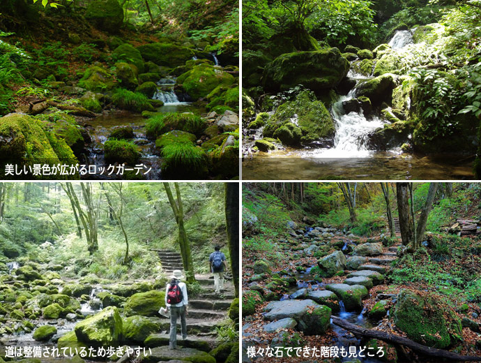 ロックガーデン･御岳岩石園