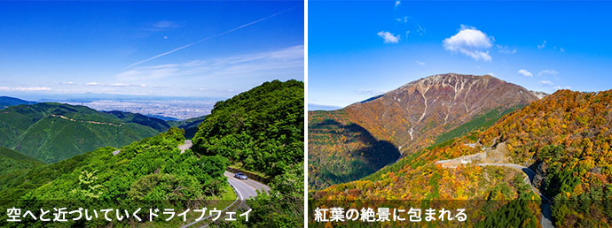 伊吹山ドライブウェイの風景