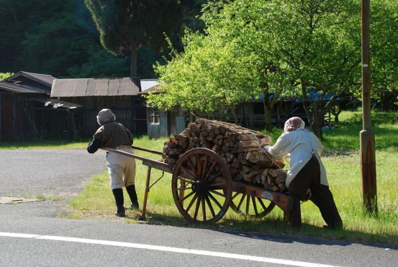 グリーンステーション鹿ヶ壺キャンプ場近くで見られる案山子