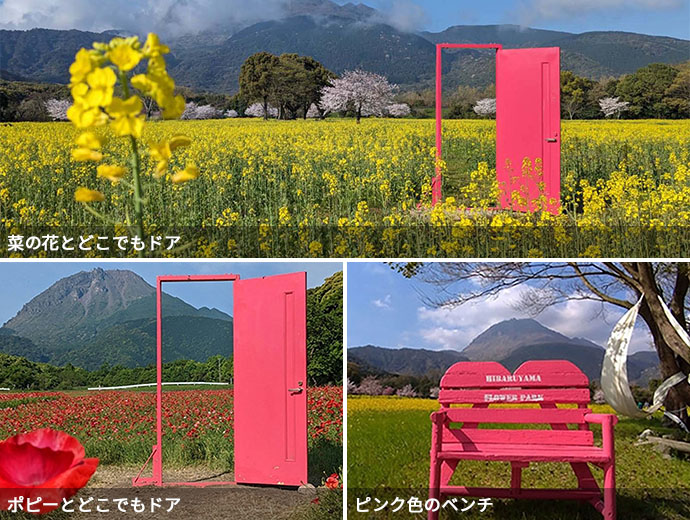 しまばら火張山花公園の菜の花とどこでもドア、しまばら火張山花公園に設置されていれるどこでもドア、しまばら火張山花公園に置かれたピンク色のベンチ