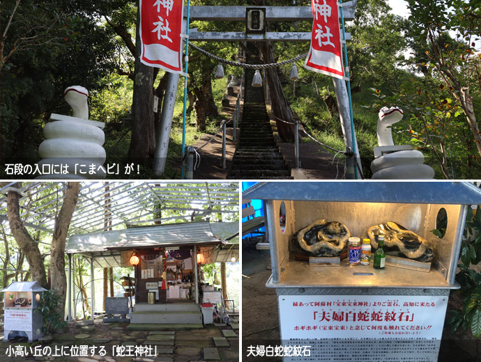 蛇王神社・石段の入口、境内、夫婦白蛇蛇紋石