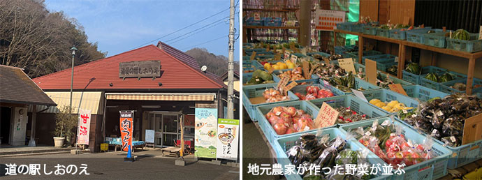 道の駅しおのえの外観と販売されている野菜