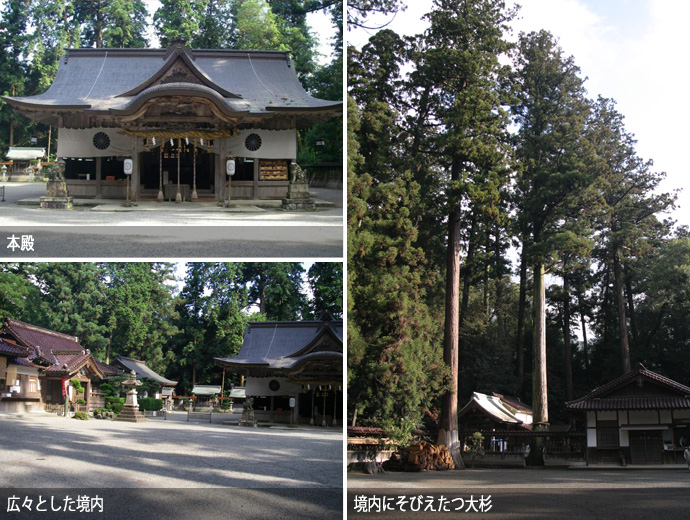 伊和神社の本殿・大杉・境内