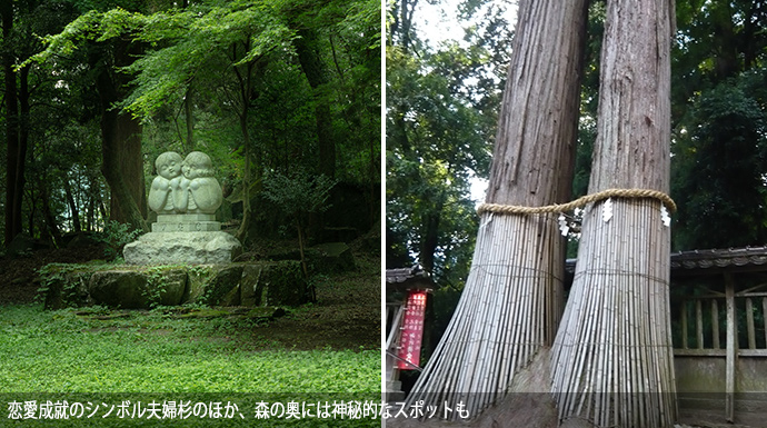 伊和神社の夫婦杉・乙女の泉