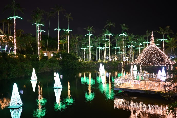 東南植物楽園のイルミネーション