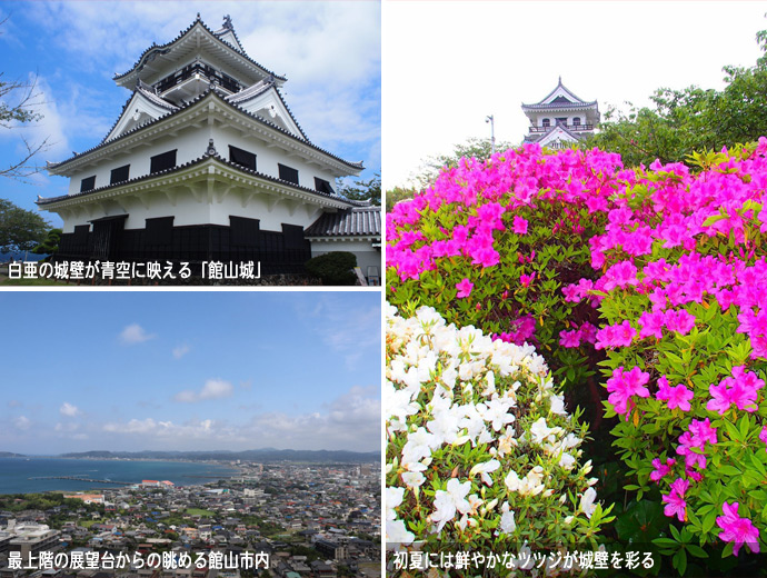 館山城のフォトスポット