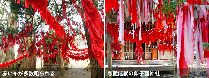 卯子酉神社の境内