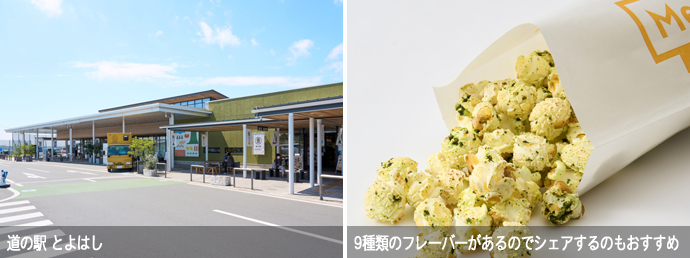 道の駅 とよはしの外観・ポップコーン