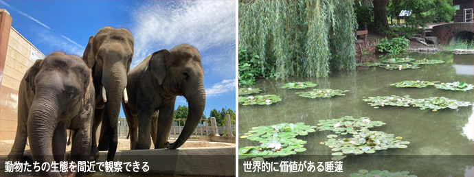のんほいパーク園内の様子